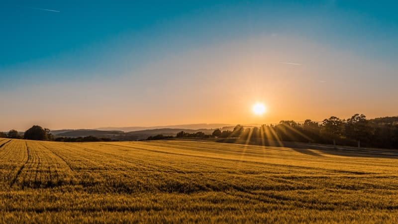 Agriculture
